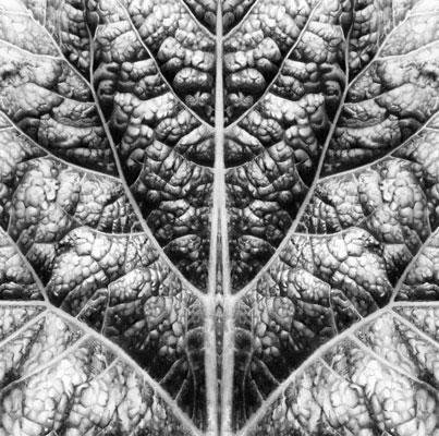 Cath Riley | Drawings and Illustration - miscellaneous